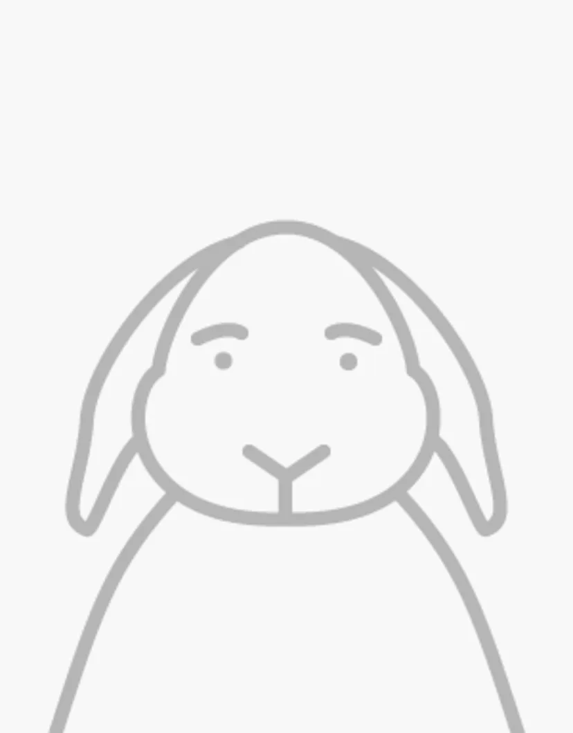 Placeholder Stencil Bunny